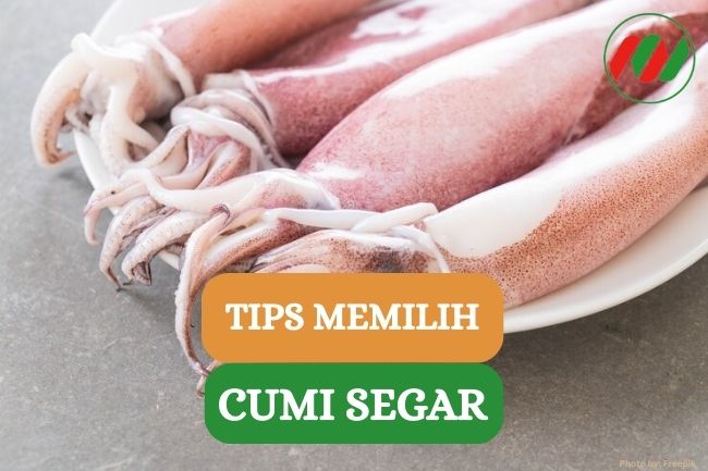 Ini Dia 10 Tips Memilih Cumi Segar, Yuk Cobain!!